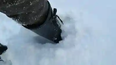 新琴似神社(北海道)