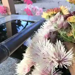 高司神社〜むすびの神の鎮まる社〜の手水