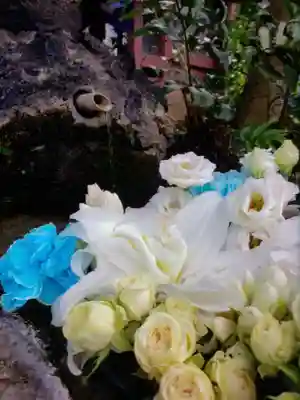 本郷氷川神社(東京都)