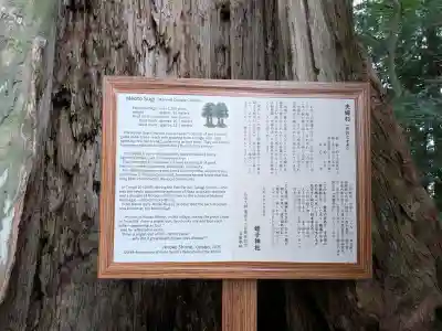蛭子神社の{uncategorized: "未分類", other: "その他", undefined: "問題あり", building: "その他建物", grave: "お墓", sacred_gate: "鳥居", guardian: "狛犬", statue: "像", buddha: "仏像", history: "歴史", nature: "自然", garden: "庭園", animal: "動物", pagoda: "塔", temizu: "手水舎", mountain_gate: "山門・神門", sanctuary: "本殿・本堂", subordinate: "末社・摂社", art: "芸術", scenery: "景色", jizo: "地蔵", ema: "絵馬", goshuin: "御朱印", omikuji: "おみくじ", items: "授与品その他", amulet: "お守り", goshuincho: "御朱印帳", eats: "食事", festival: "お祭り", votive_dance: "神楽", shichigosan: "七五三参", wedding: "結婚式", experience: "体験その他", initially: "初詣", around: "周辺", anti_infection: "感染症対策"}
