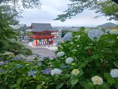 成田山名古屋別院大聖寺(犬山成田山)(愛知県)