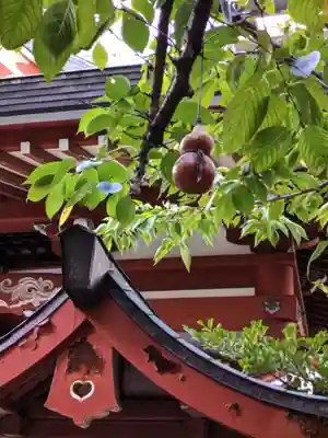 秋葉神社(東京都)