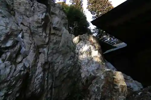 鹿島大神宮の自然