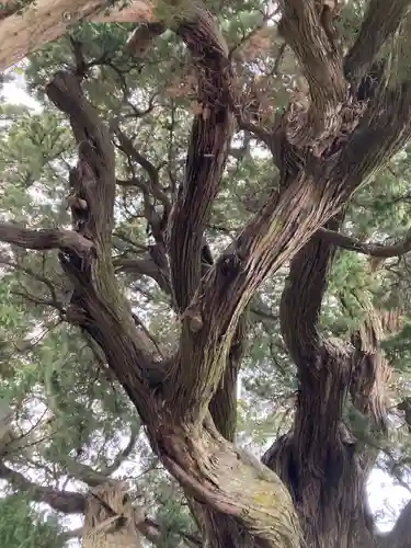 城願寺(神奈川県)