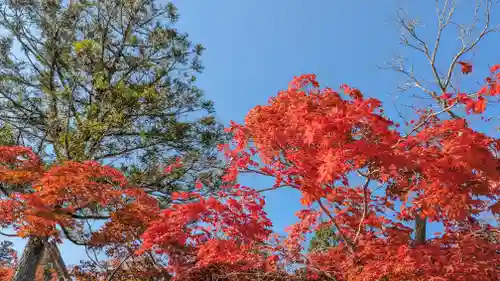 鍬山神社(京都府)
