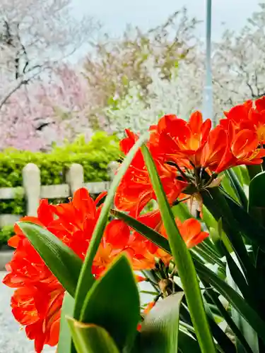 六孫王神社(京都府)