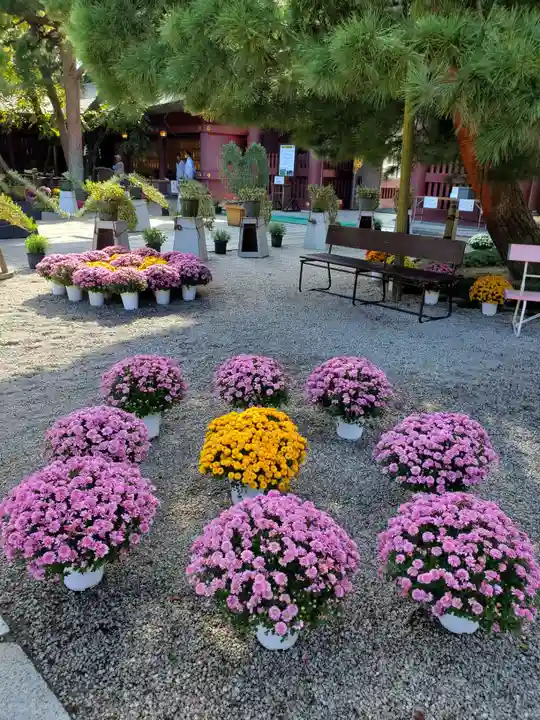 笠間稲荷神社(茨城県)