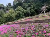 普門寺(切り絵御朱印発祥の寺)(愛知県)