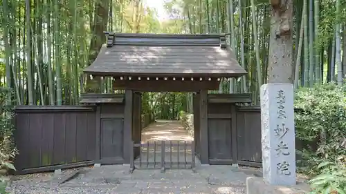 妙光院の山門