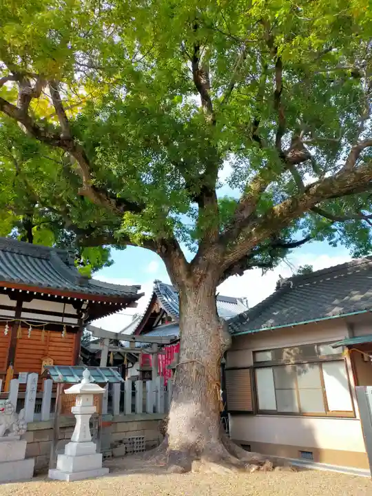 阿保神社(大阪府)