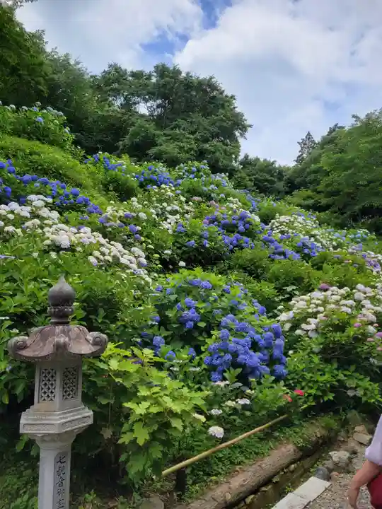 観音寺(京都府)
