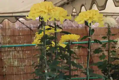 高麗神社のその他建物