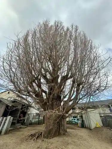 八大龍王辨財天(京都府)