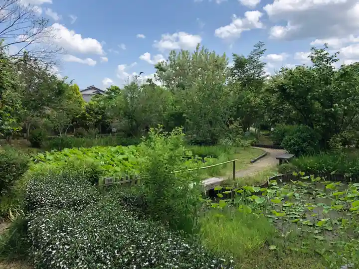 法華寺の庭園