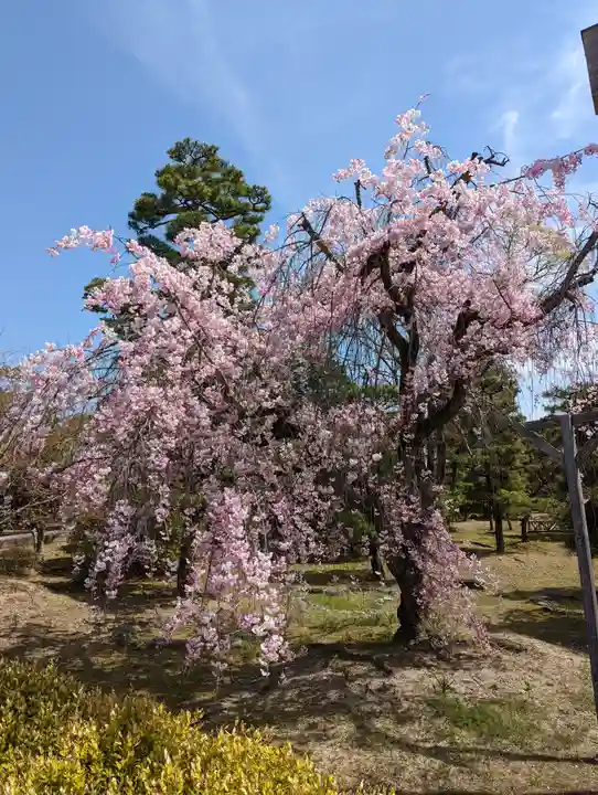 智積院(京都府)