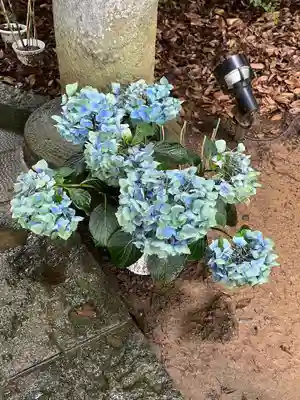 滑川神社 - 仕事と子どもの守り神(福島県)
