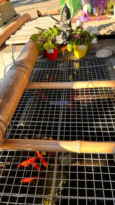 彌榮神社(大阪府)