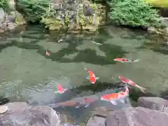 滝沢寺(群馬県)