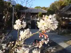 釋王寺の自然