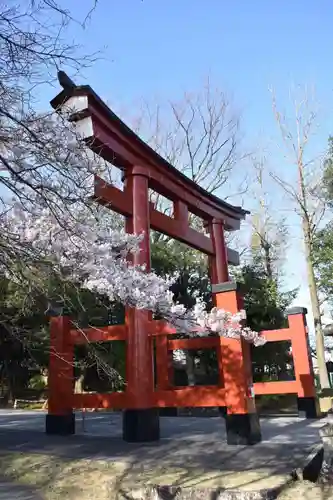 一之宮貫前神社の鳥居