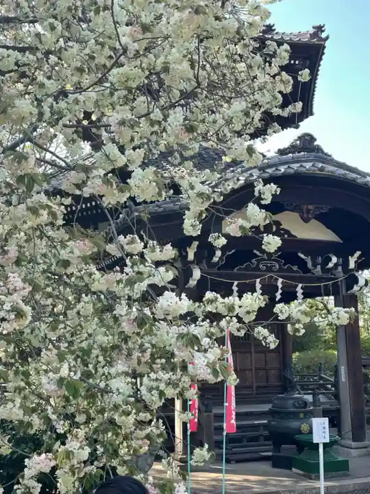 観音寺(世田谷山観音寺)の自然
