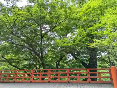 北野天満宮(京都府)