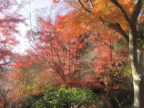 覚園寺の景色