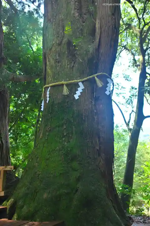 白山比咩神社(石川県)
