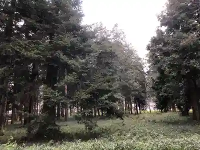 御出石神社の周辺