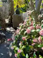 浄正寺の{uncategorized: "未分類", other: "その他", undefined: "問題あり", building: "その他建物", grave: "お墓", sacred_gate: "鳥居", guardian: "狛犬", statue: "像", buddha: "仏像", history: "歴史", nature: "自然", garden: "庭園", animal: "動物", pagoda: "塔", temizu: "手水舎", mountain_gate: "山門・神門", sanctuary: "本殿・本堂", subordinate: "末社・摂社", art: "芸術", scenery: "景色", jizo: "地蔵", ema: "絵馬", goshuin: "御朱印", omikuji: "おみくじ", items: "授与品その他", amulet: "お守り", goshuincho: "御朱印帳", eats: "食事", festival: "お祭り", votive_dance: "神楽", shichigosan: "七五三参", wedding: "結婚式", experience: "体験その他", initially: "初詣", around: "周辺", anti_infection: "感染症対策"}