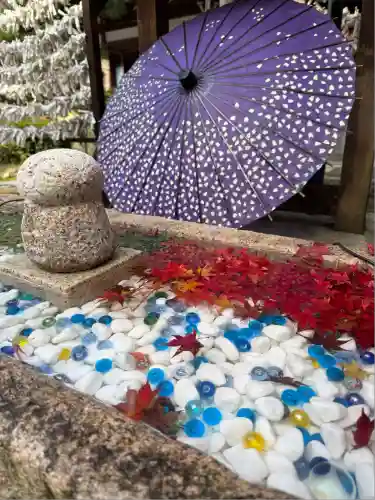 岡寺（龍蓋寺）(奈良県)