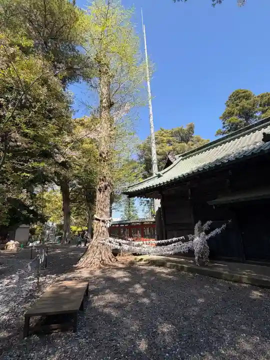 玉前神社の{uncategorized: "未分類", other: "その他", undefined: "問題あり", building: "その他建物", grave: "お墓", sacred_gate: "鳥居", guardian: "狛犬", statue: "像", buddha: "仏像", history: "歴史", nature: "自然", garden: "庭園", animal: "動物", pagoda: "塔", temizu: "手水舎", mountain_gate: "山門・神門", sanctuary: "本殿・本堂", subordinate: "末社・摂社", art: "芸術", scenery: "景色", jizo: "地蔵", ema: "絵馬", goshuin: "御朱印", omikuji: "おみくじ", items: "授与品その他", amulet: "お守り", goshuincho: "御朱印帳", eats: "食事", festival: "お祭り", votive_dance: "神楽", shichigosan: "七五三参", wedding: "結婚式", experience: "体験その他", initially: "初詣", around: "周辺", anti_infection: "感染症対策"}