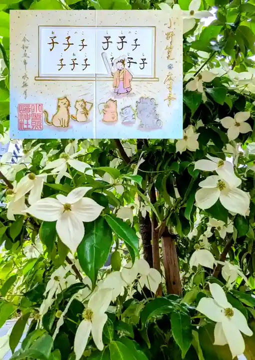 小野照崎神社の御朱印