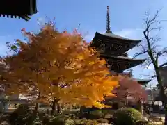 飛騨国分寺の景色