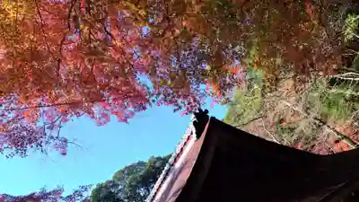 出雲大神宮のその他建物