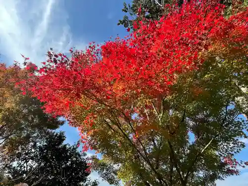 清水寺(京都府)