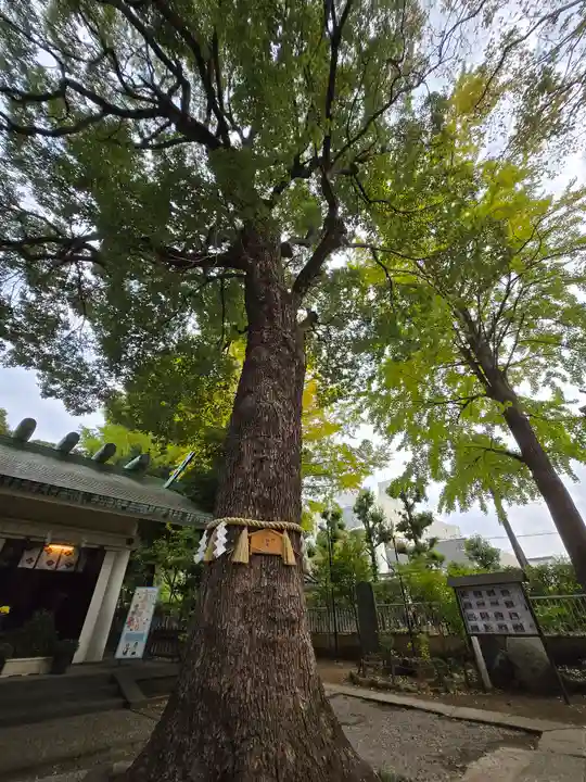 駒込天祖神社(東京都)