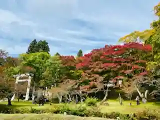 土津神社｜こどもと出世の神さまの自然