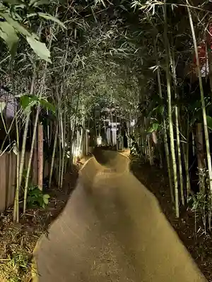 來宮神社(静岡県)