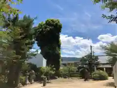 鴨島八幡神社(徳島県)