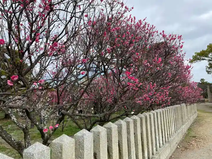 曽根天満宮(兵庫県)