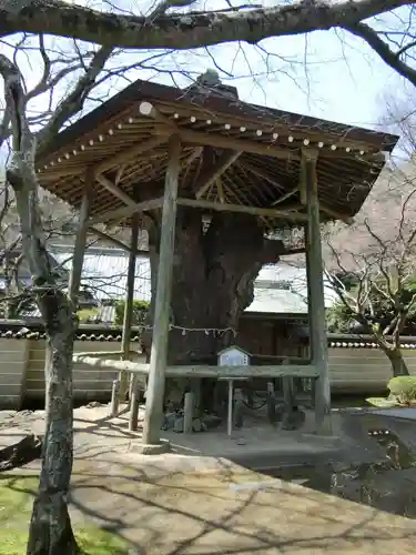 根香寺のその他建物