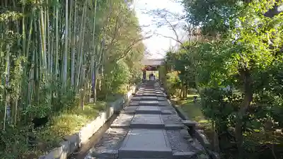 高台寺（高台寿聖禅寺・高臺寺）のその他建物