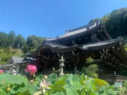 三室戸寺(京都府)