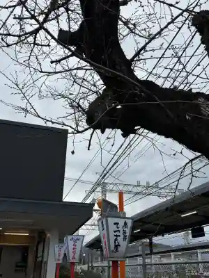 石清水八幡宮の{uncategorized: "未分類", other: "その他", undefined: "問題あり", building: "その他建物", grave: "お墓", sacred_gate: "鳥居", guardian: "狛犬", statue: "像", buddha: "仏像", history: "歴史", nature: "自然", garden: "庭園", animal: "動物", pagoda: "塔", temizu: "手水舎", mountain_gate: "山門・神門", sanctuary: "本殿・本堂", subordinate: "末社・摂社", art: "芸術", scenery: "景色", jizo: "地蔵", ema: "絵馬", goshuin: "御朱印", omikuji: "おみくじ", items: "授与品その他", amulet: "お守り", goshuincho: "御朱印帳", eats: "食事", festival: "お祭り", votive_dance: "神楽", shichigosan: "七五三参", wedding: "結婚式", experience: "体験その他", initially: "初詣", around: "周辺", anti_infection: "感染症対策"}