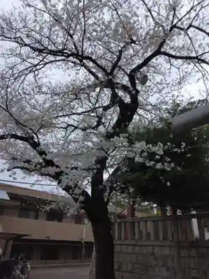 瀬田玉川神社(東京都)