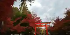 賀茂御祖神社（下鴨神社）の鳥居