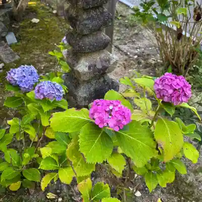 伊勢の国 四天王寺(三重県)
