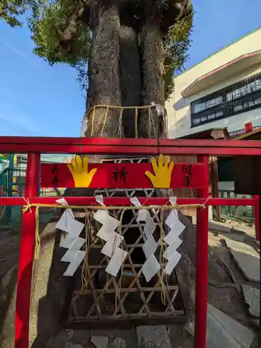五方山熊野神社(東京都)