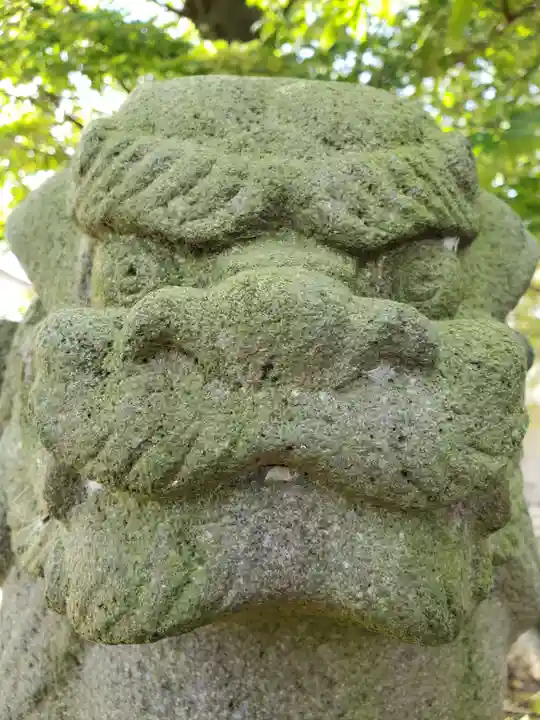 白山神社の狛犬